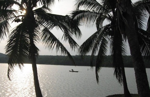 Venganoor Villa | A Very Very Special House, Villa Lake View, (with Pool) Kovalam