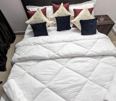 Ghaziabad Apartment | Ace home one