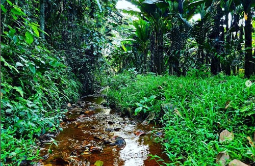 Muvattupuzha House | Acrewood Farmhouse, heritage-style house, soulful retreat into the nature.
