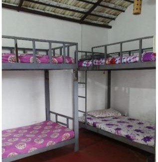 Alappuzha Bed & Breakfast | Adam's Heaven