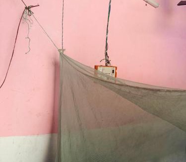 Maharajganj House | Amaranth Homestay