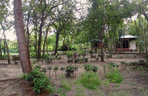 Neil Island Resort | An Eco Resort