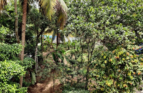 Vaikom Villa | Anandam stays-relax in the calmness of nature-enjoy backwaters