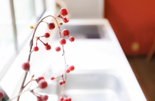 Nishinari Apartment | Andys Home
