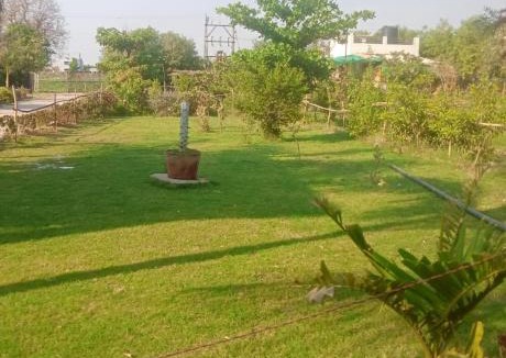 Gandhinagar Other | Aranya Bliss