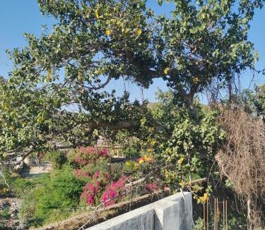 Samode Hotel | Aravalli Mount View Hotel And Restaurant