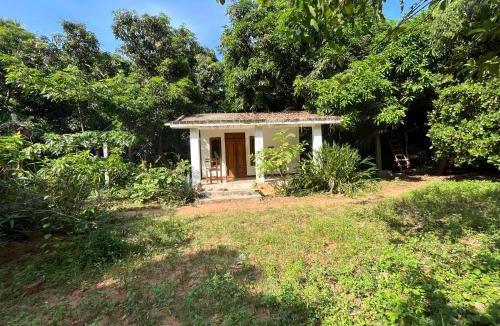 Bommayapalayam Hostel | Art Forest