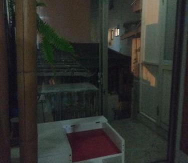 Xincheng House | Art Taiwan Homestay
