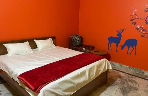 Nayagarh Cabin | Arya residency lodging and boarding