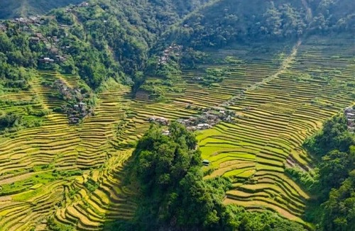 Batad Hotel | BATAD Simons Viewpoint Inn and Pizza Restaurant