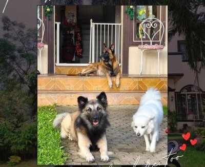 Valencia Bed & Breakfast | Belfort House B&B