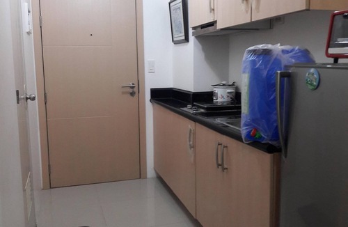 Plainview Condo | Beutiful 1 BR Condo Unit Connected to a Train Station with fast Internet