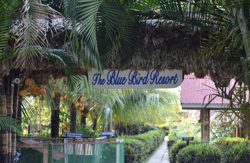 Havelock Island Resort | Blue Bird Resort