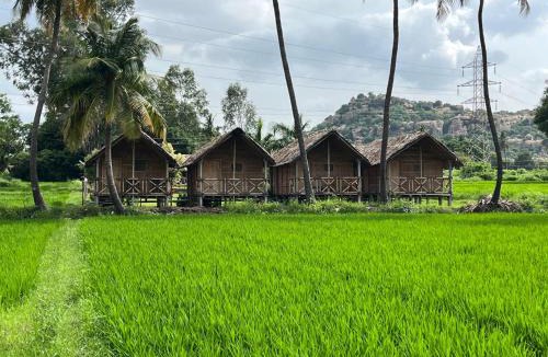 Sanapur House | Blue Sky Cottages Hampi