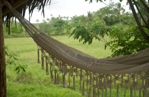 Catangnan Other | Bubble Siargao