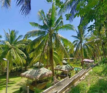 Laiya Other | Campo De Laiya