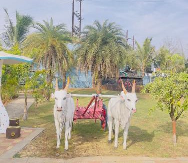 Kalyan Villa | Central villa by vimla farm