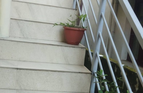 Fort Kochi House | Charming 2-bedroom house in Kochi with WiFi and fitness facilities