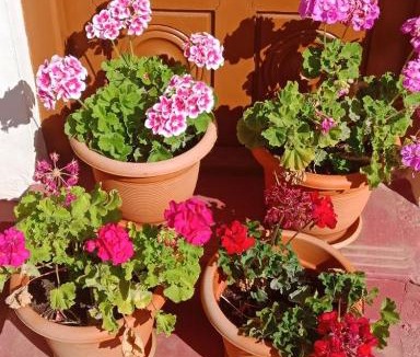 Katakeri Rural House | Coorg Girinivas Deluxe Homestay With Balcony And Wi-Fi