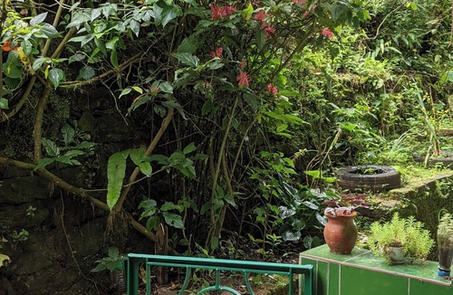 Mirik House | Cozy two-room private studio in Mirik