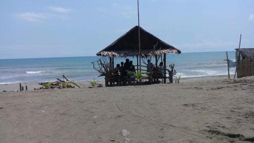 Baler Resort | Damara Beachfront Resort