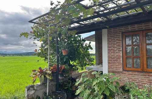 K. Phu Pieng House | Darins House