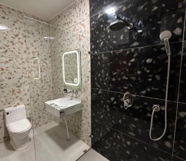 Janakpuri House | Desire Courtyard