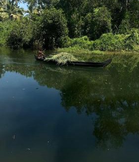 Vaikom Cabin | Dhyan Village Retreat