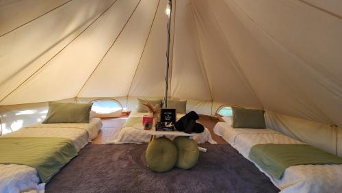 Mabitac Other | Elysera Glamping & Resort