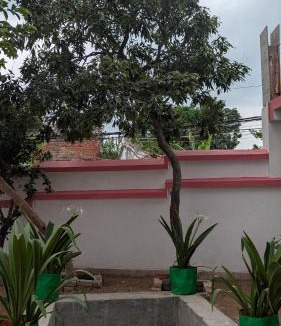 Darbhanga Villa | Entire Villa in Darbhanga