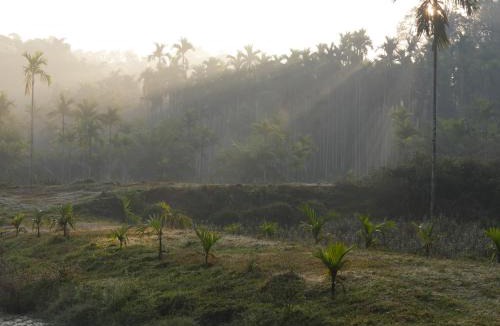 Siddapura House | Estate Stay - Riverside Coffee