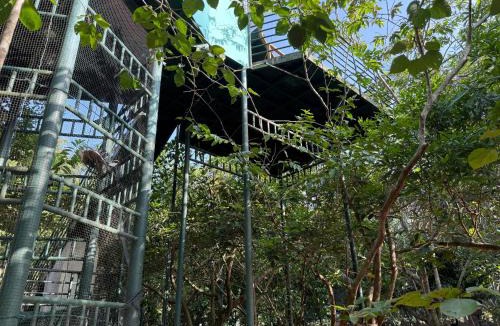 Kollam House | Farm House
