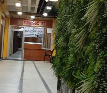 Gorakhpur House | Flamingo inn-KV tower 2nd floor, Paidleganj Kalepur,Kasia road, Gorakhpur