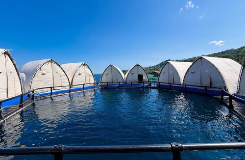 Kaputian Boat Rental | Floating Home in Reef Resort Unit 6