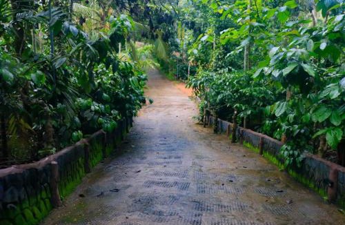 Vaduvanchal Villa | Fogland Villa