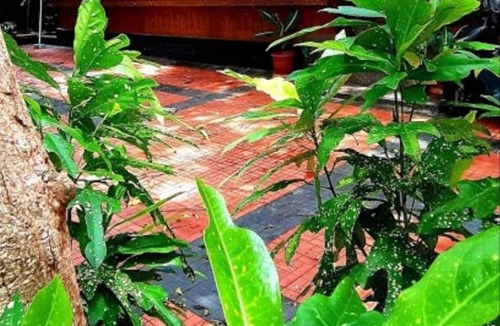Varkala Bed & Breakfast | Fortingal sea resort