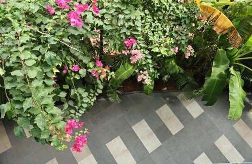 Anjuna Bed & Breakfast | Fusion Home