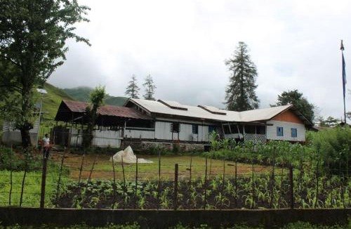 Along House | Gayboos Homestay