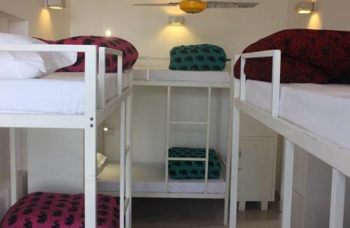 Panch Batti Hostel | goSTOPS Lite Jaipur