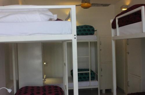Panch Batti Hostel | goSTOPS Lite Jaipur