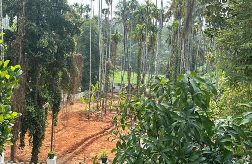 Kunnamkulam Villa | Grace villa