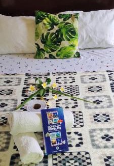 Romblon Island House | Green Sea Turtle