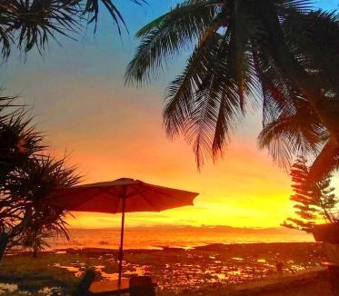 Romblon Island House | Green Sea Turtle