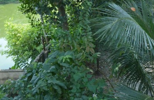 Chandannagar House | Guest house in Chandannagar