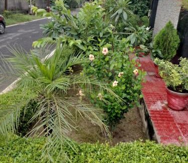 Greater Noida Villa | Happy Feet Homestay 15 mins distance from Expo Mart