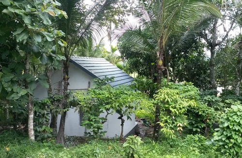 Panamaram Villa | Heritage villa