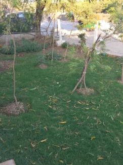 Faridabad Villa | Hospitality Villa Sector 21B