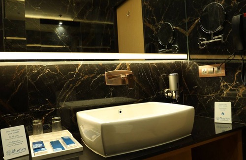 Anand Hotel | Hotel Blueivy
