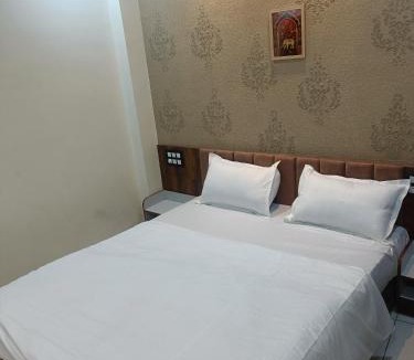 Thandla Hotel | Hotel Shree Residency