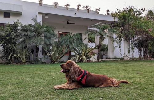 Amer Villa | 1200 m² Villa ∙ 2 bedrooms ∙ 8 guests